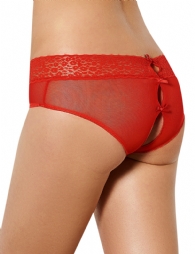Sexy Holiday Peek A Boo Back Mesh Crotchless Valentines Panty