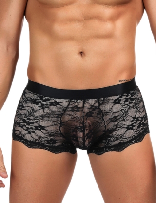 Sexy Black Lace Strappy Panty For Men