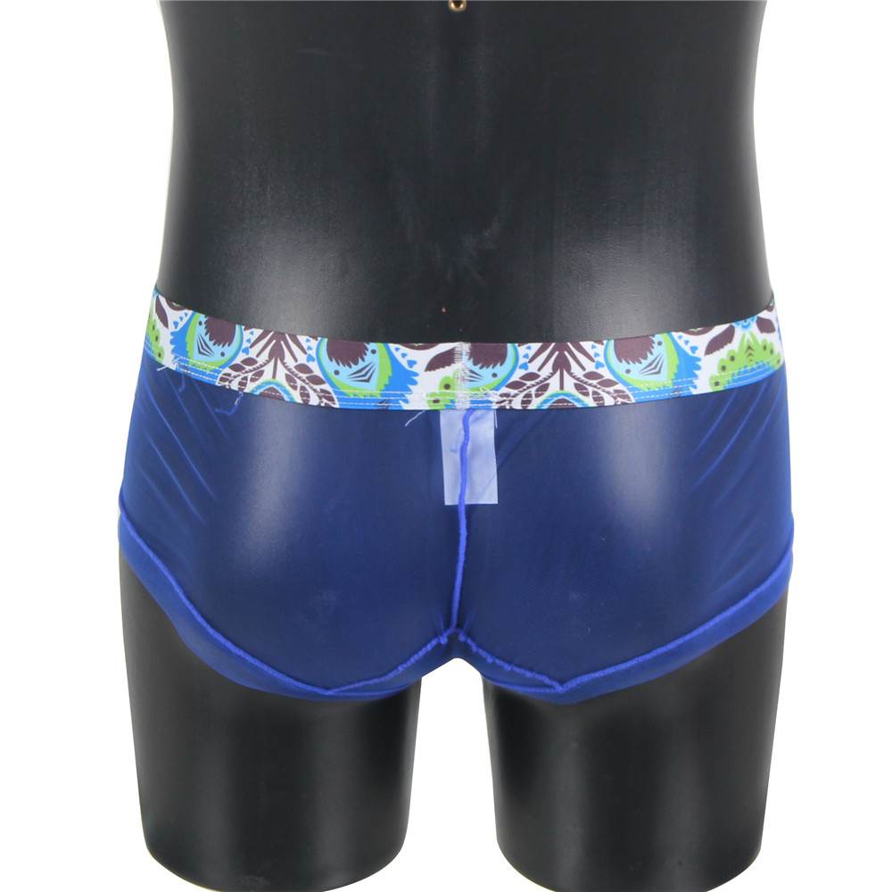 Mens Blue Sexy Sheer Novelty Underwear | Ohyeah