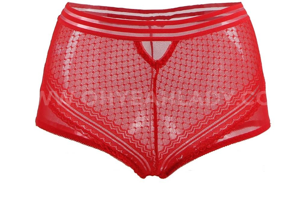 Plus Size Sexy High Waist Perspective Panty | Ohyeah